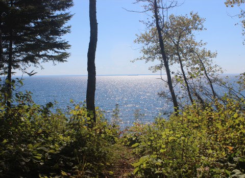 Thesis – In the&nbsp;making!